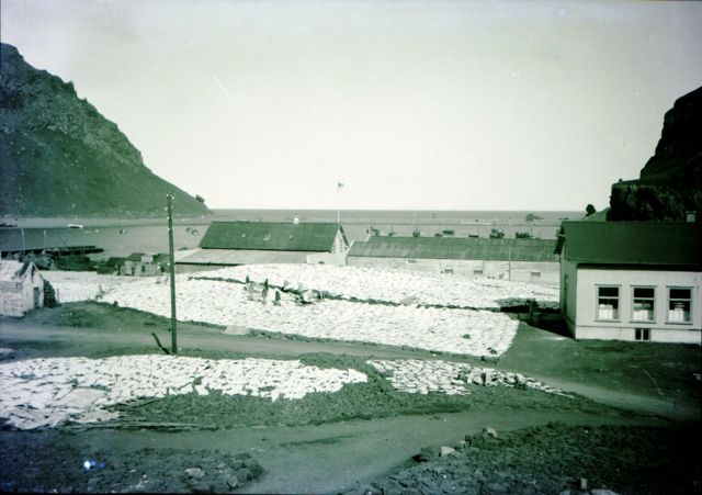 Mynd:Fiskbreiðsla.JPG
