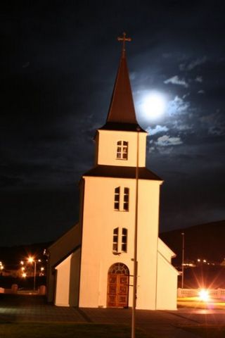 Mynd:Mannsi (66).JPG