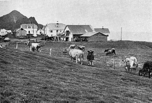 Kirkjubæjarjarðirnar í Vestm.eyjm voru 8.