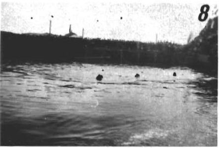 Mynd:Screen Shot 2017-06-23 at 09.17.34.png