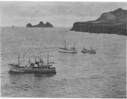 Mynd:Á síldveiðum við Eyja.png