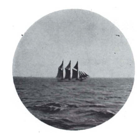 Mynd:Skonnorta á siglingu í Norðursjónum.png