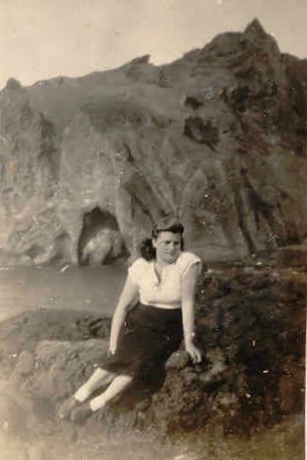 Mynd:Fa-blom (102).jpg