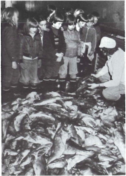 Mynd:Screen Shot 2017-06-30 at 08.59.54.png