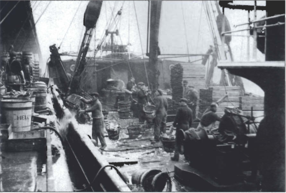 Mynd:Landað úr togara á fiskimarkaðnum í Hull.png