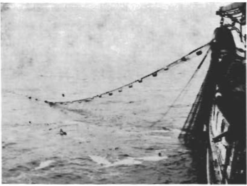 Mynd:Nótaveiðar.- „Hann er inni.“.png