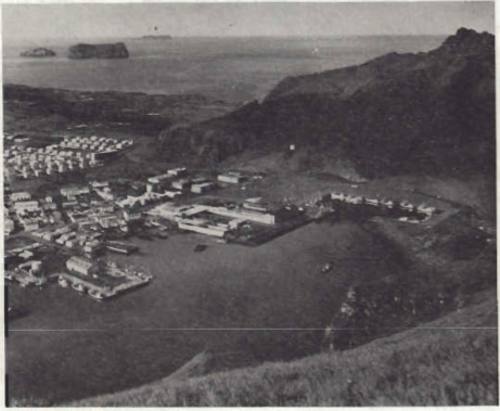 Mynd:Vestmannaeyjahöfn 1968.png