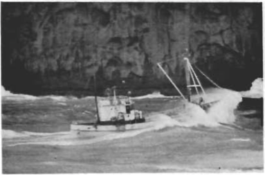 Mynd:Róa sjómenn.png