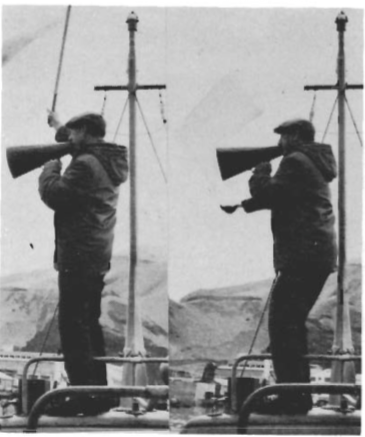 Mynd:Screen Shot 2016-06-30 at 08.15.05.png