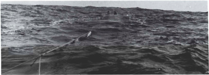 Mynd:Screen Shot 2017-07-27 at 08.54.04.png