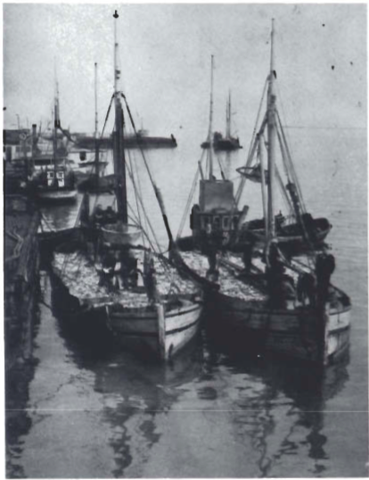 Mynd:Screen Shot 2017-08-29 at 22.25.01.png