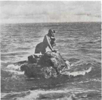 Mynd:Hafmeyjan skilar syni sínum upp á fjörustein ættlands síns.png