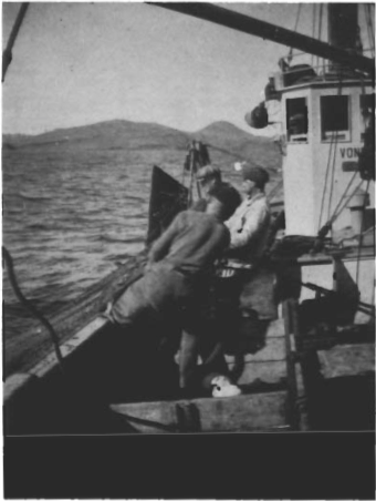 Mynd:Screen Shot 2017-07-05 at 08.19.19.png