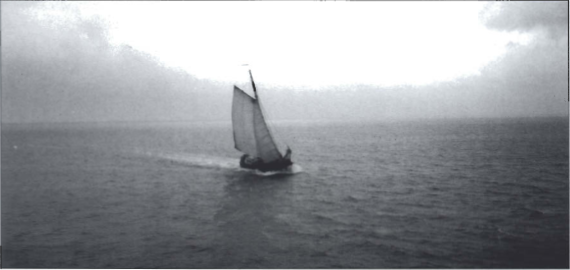 Mynd:Waddenzee seint í júlí. Það kular þegar norðar dregur.png