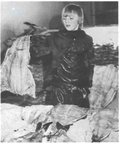 Mynd:Screen Shot 2017-06-30 at 08.59.36.png