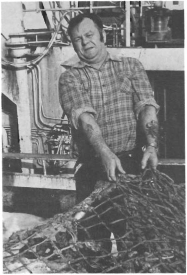 Mynd:Hal í og streð!.png