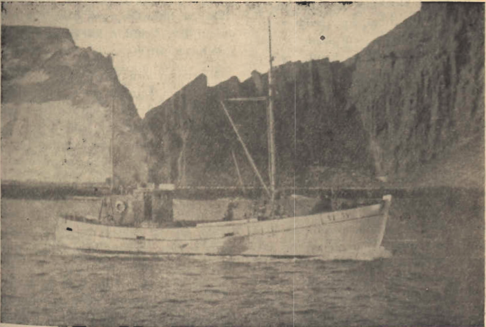 Mynd:M.b. Erlingur III.png