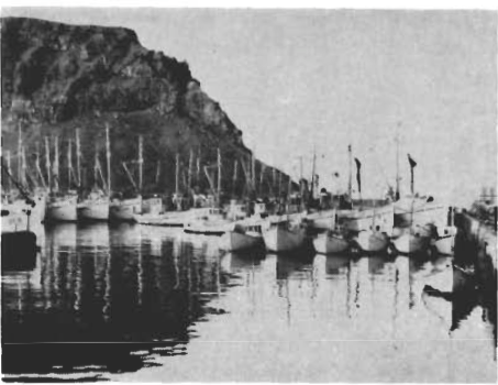 Mynd:Á hátíðisdegi - flotinn í höfn.png