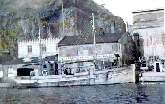 Mynd:Gamall þessi..jpg