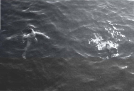 Mynd:Svamlað í sjónum, Ægir til vinstri.png