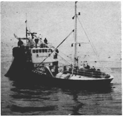 Mynd:Ísleifur IV á nótaveiðum.png