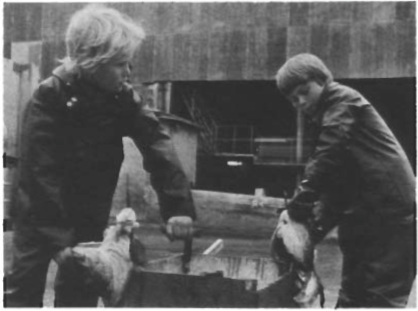 Mynd:Screen Shot 2017-06-30 at 08.59.44.png