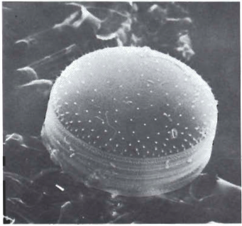 Mynd:Screen Shot 2017-07-20 at 09.27.14.png