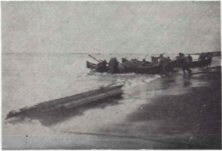 Mynd:Fremst er timburflutningur.png