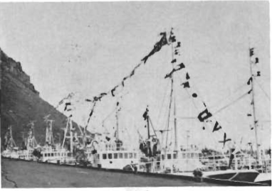 Mynd:Bátar í hátíðarbúningi.png