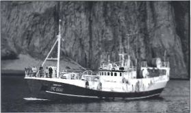 Suðurey VE - bt.png