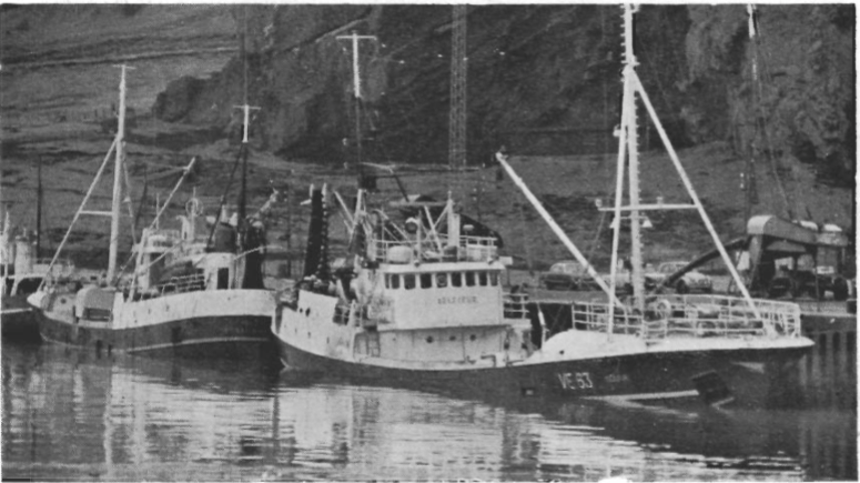 Mynd:Ísleifarnir landa loðnu í Friðarhöfn.png