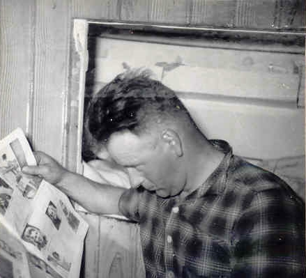 Mynd:Fa-brunt (46).jpg