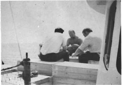 Mynd:Screen Shot 2017-06-28 at 08.25.17.png