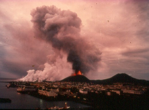 Mynd:Gos á Heimaey.1.jpg