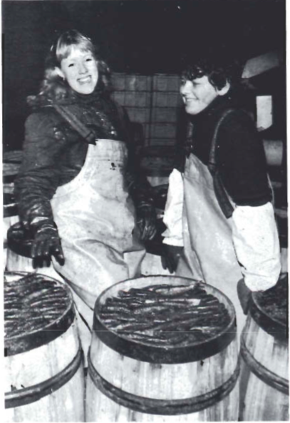 Mynd:Screen Shot 2017-08-23 at 11.46.21.png