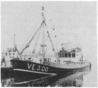 Mynd:Gjafar 1956-1960.png