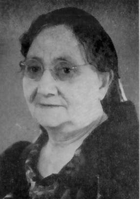 Mynd:Saga Vestm. I., 216ha.jpg