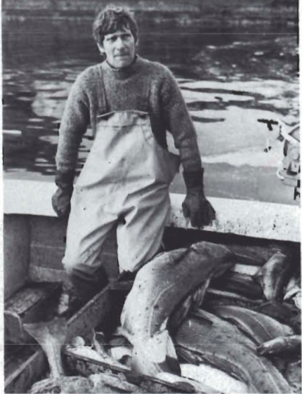 Mynd:Screen Shot 2017-08-16 at 08.07.15.png