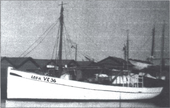 Mynd:Leó II. VE 36.png