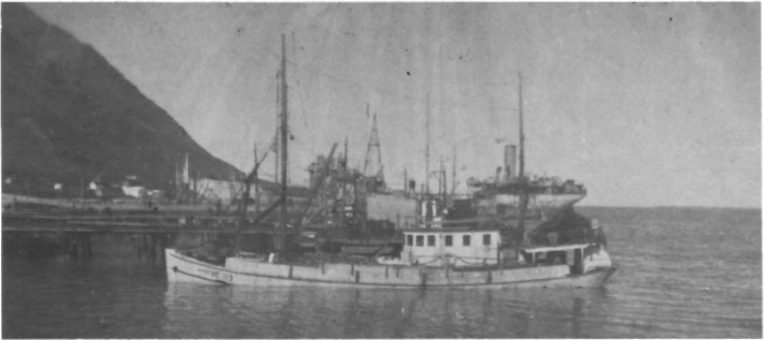 Mynd:Screen Shot 2017-07-05 at 08.21.02.png