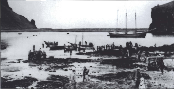 Mynd:Athafnasvæðið við höfnina um aldamótin 1900.png