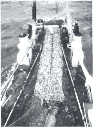 Mynd:Screen Shot 2017-08-22 at 09.09.37.png