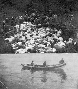 Mynd:1962 b 147 A.jpg