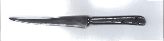 Mynd:Búrhnífur Önnu í Laufási.png