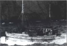 Mynd:Emma VE 219 sj.blað.png