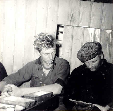 Mynd:Fa-brunt (4).jpg