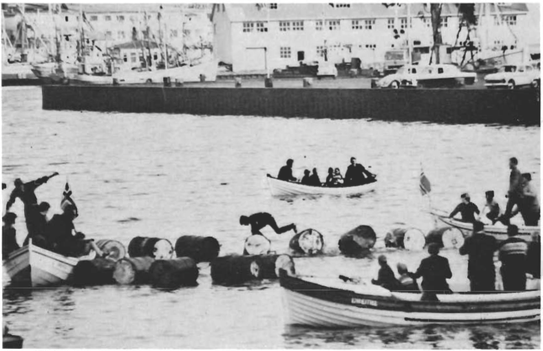 Mynd:Tunnuhlaupið 1969.png