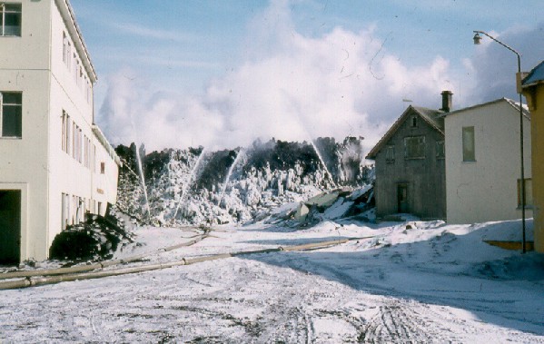 Mynd:Mandalur. nyborg.jpg