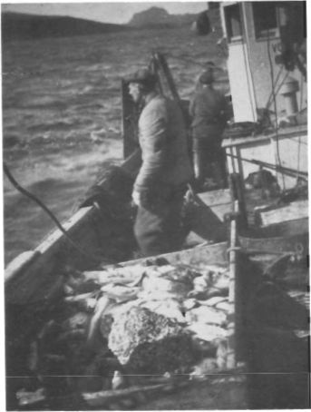 Mynd:Screen Shot 2017-07-05 at 08.20.43.png