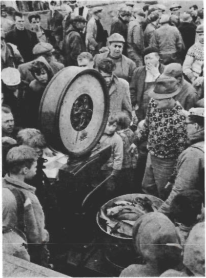 Mynd:Aflinn veginn á sjóstangaveiðimótinu.png